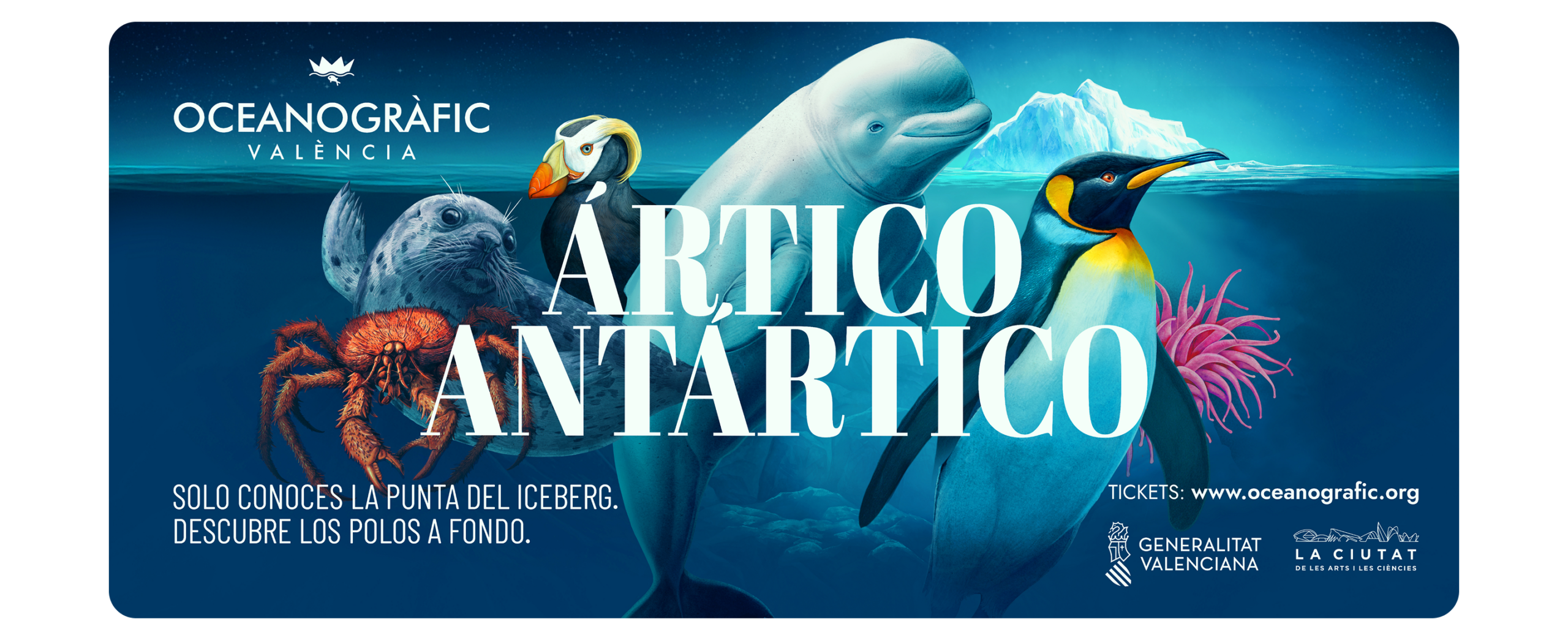 OCEANOGRAFIC-Polos-combo